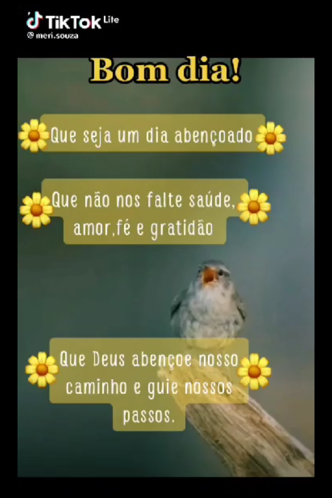 Ir Para